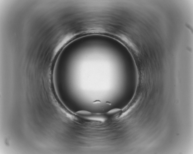 X0000099431325200805091242