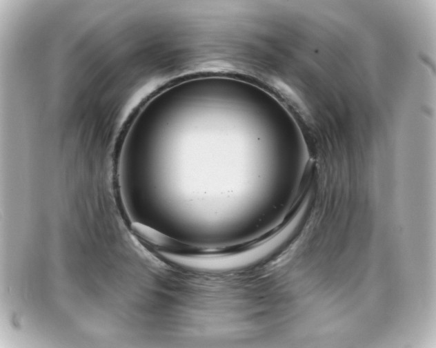 X0000099431326200805091242