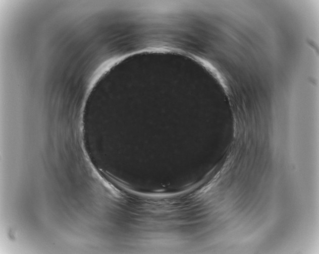 X0000099431327200805091242