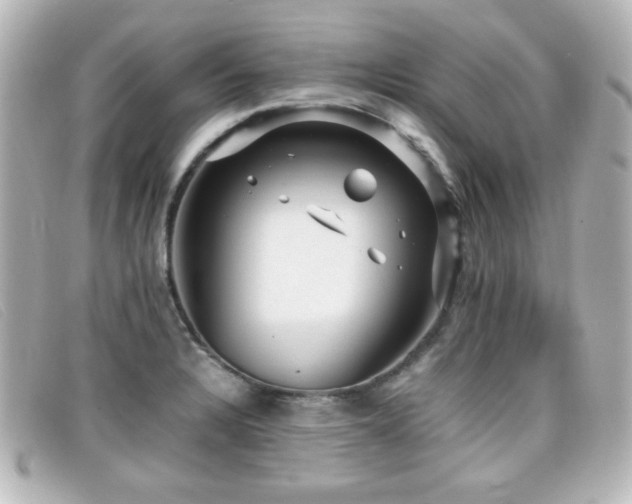 X0000099431328200805091242