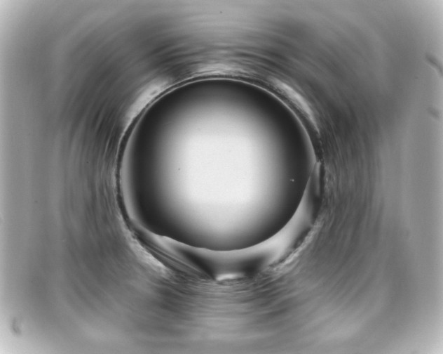 X0000099431330200805091242