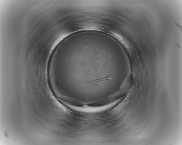 X0000099431331200805091242