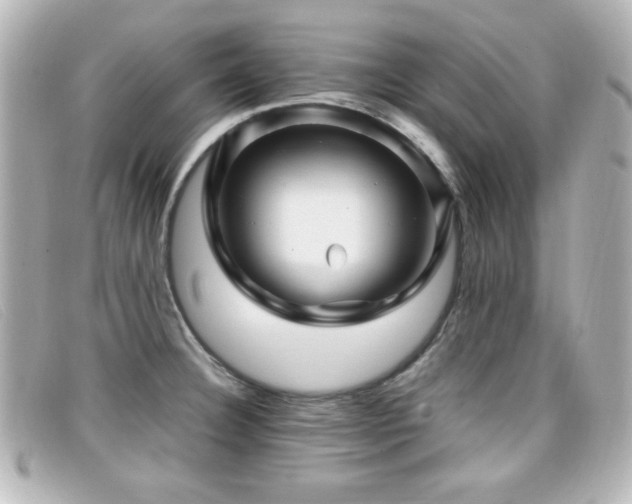 X0000099431332200805091242