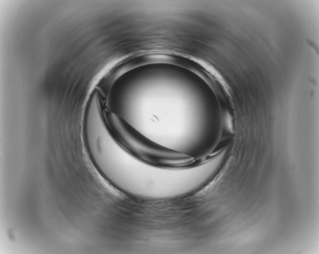 X0000099431333200805091242