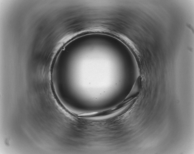 X0000099431335200805091242