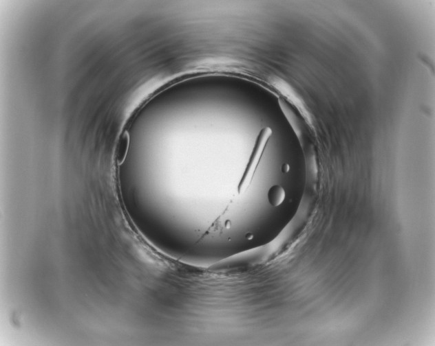 X0000099431336200805091242