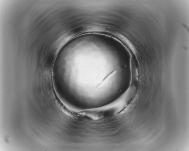 X0000099431337200805091242