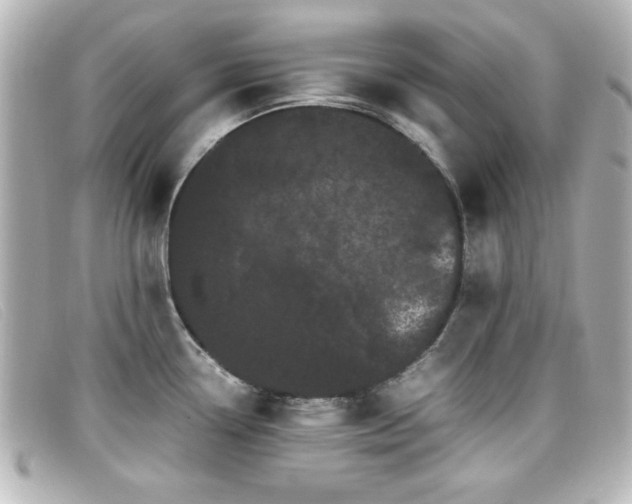 X0000099431338200805091242