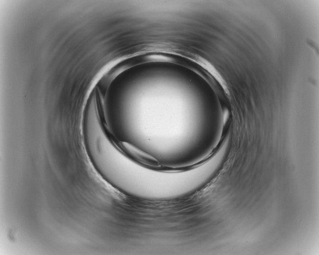 X0000099431339200805091242