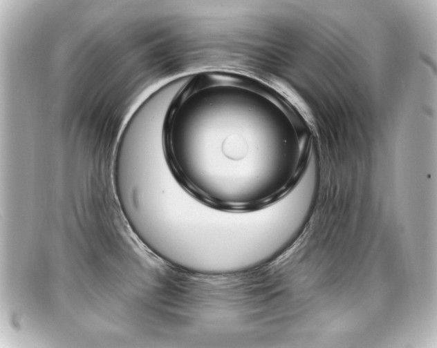 X0000099431340200805091242