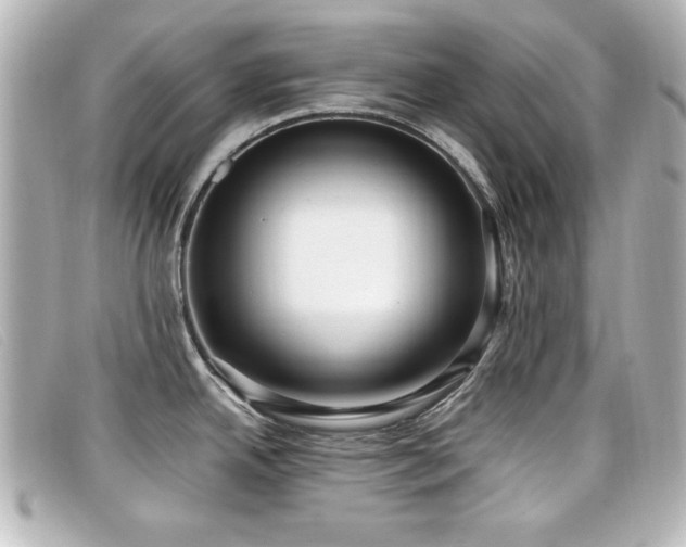 X0000099431342200805091242