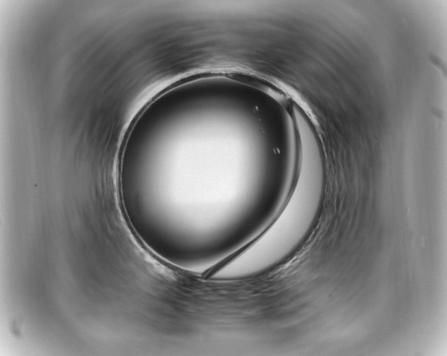 X0000099431343200805091242
