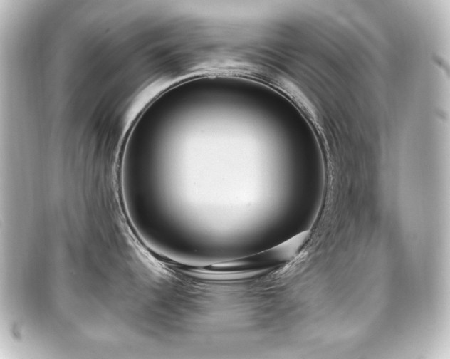 X0000099431344200805091242