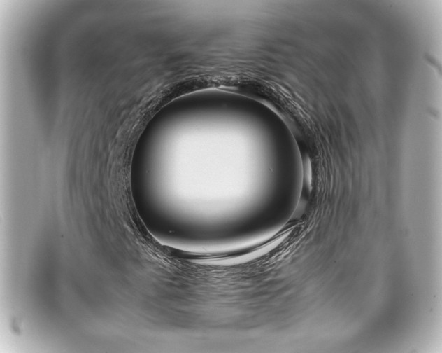 X0000099431345200805091241