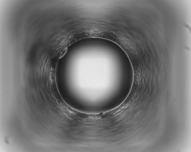 X0000099431346200805091241