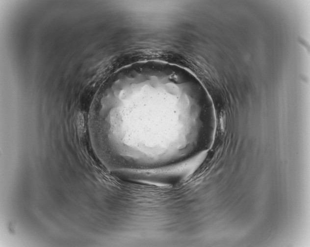 X0000099431347200805091241