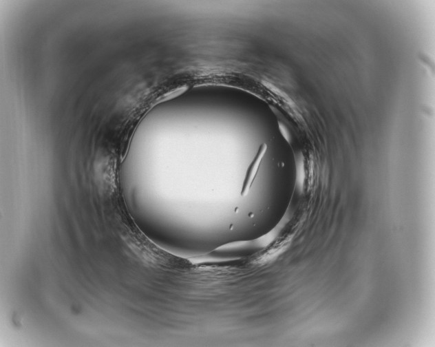 X0000099431348200805091241