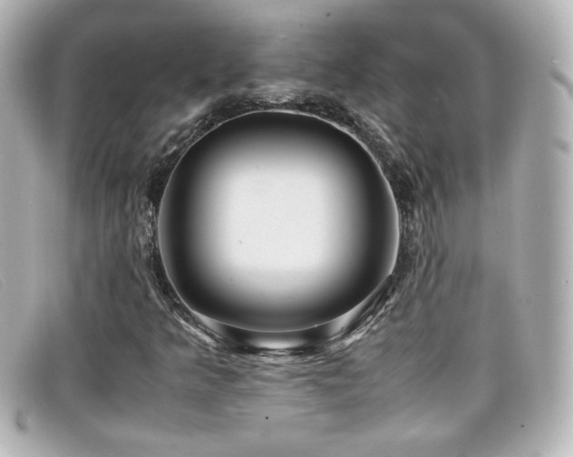 X0000099431349200805091241