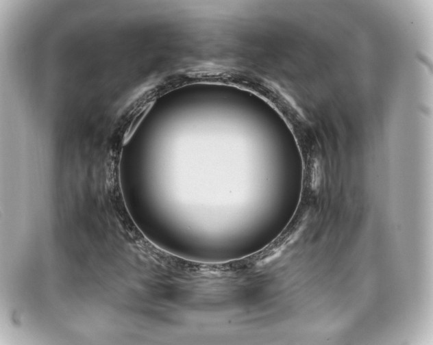 X0000099431350200805091241