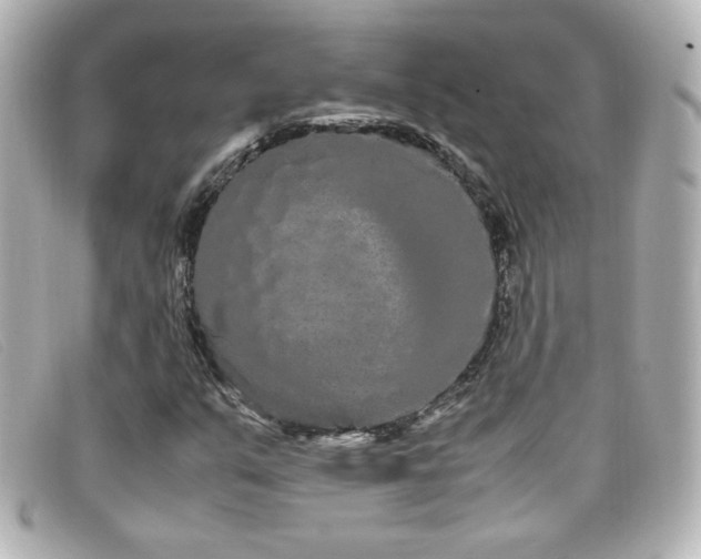X0000099431351200805091241