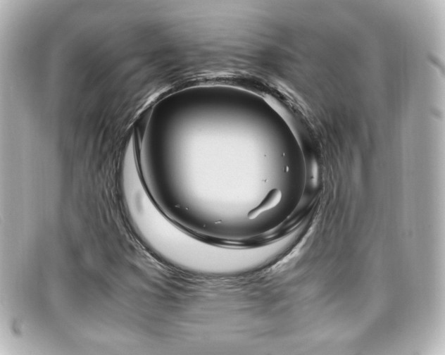 X0000099431353200805091241