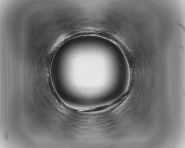 X0000099431355200805091241