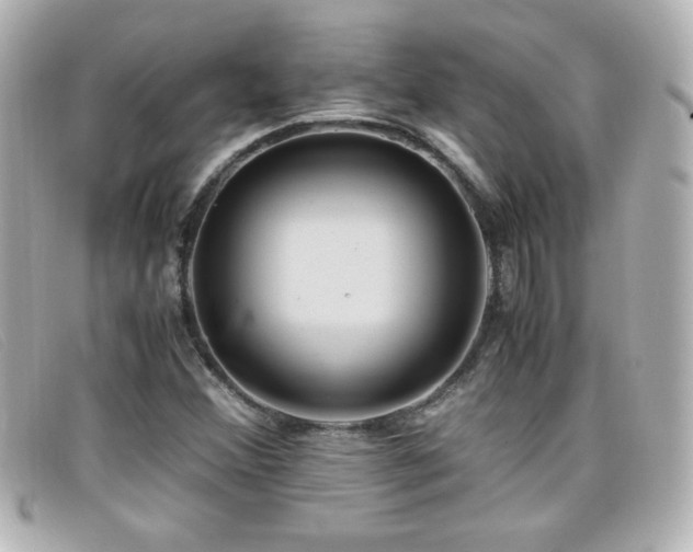 X0000099431356200805091241