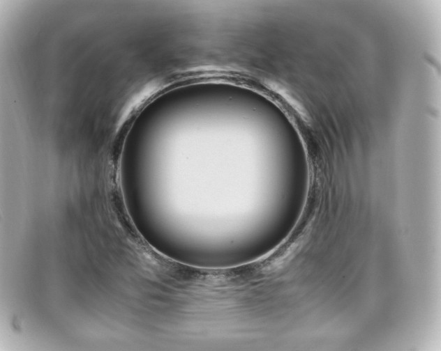X0000099431357200805091241
