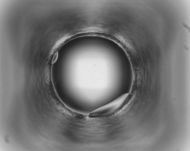 X0000099431358200805091241