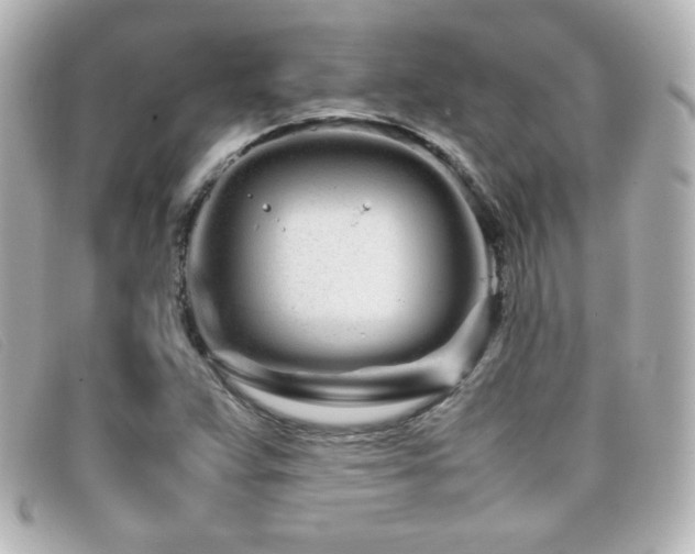 X0000099431359200805091241