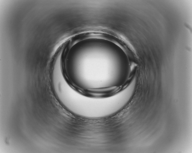 X0000099431360200805091241