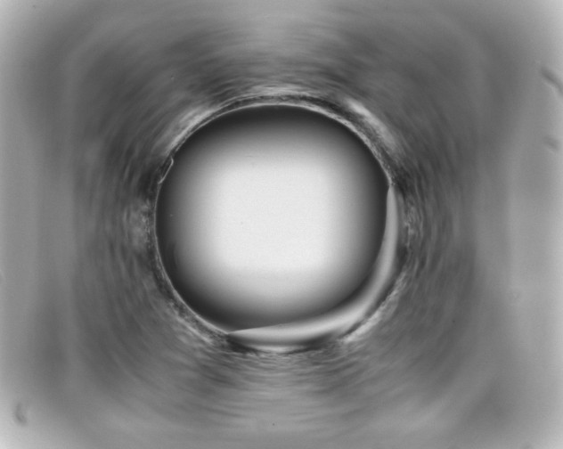 X0000099431361200805091241