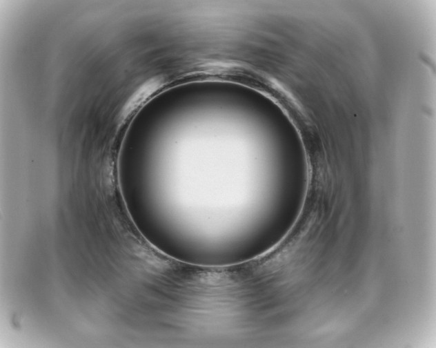 X0000099431362200805091241