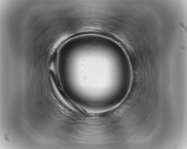 X0000099431363200805091241