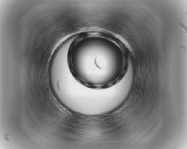 X0000099431364200805091241