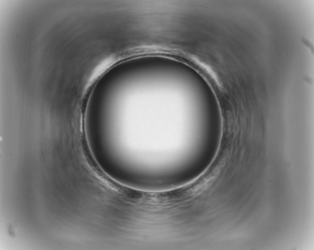 X0000099431365200805091241