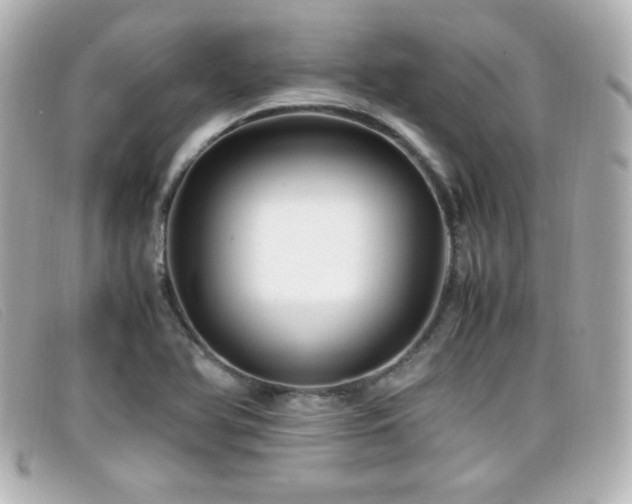 X0000099431366200805091241