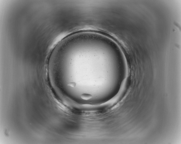 X0000099431367200805091241