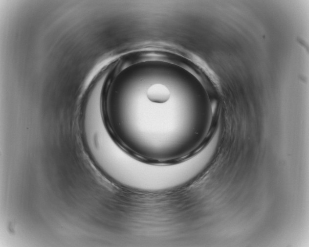 X0000099431368200805091241