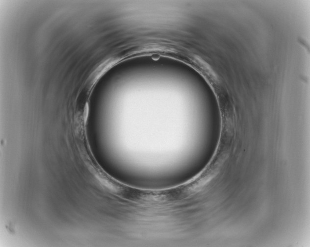 X0000099431369200805091241