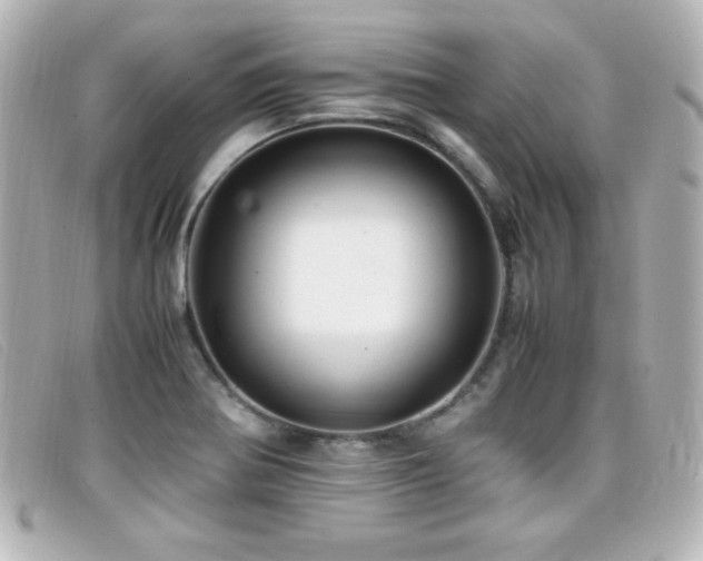 X0000099431370200805091241