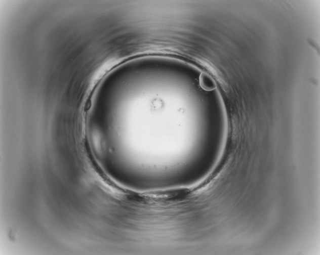X0000099431371200805091241
