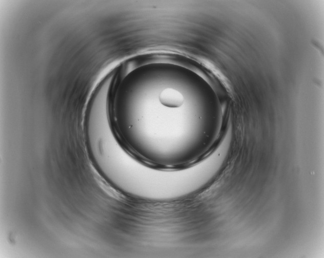 X0000099431372200805091241