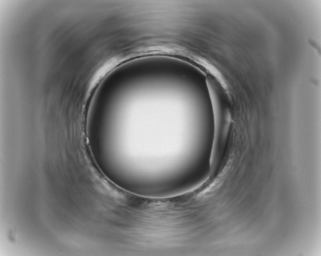 X0000099431373200805091241