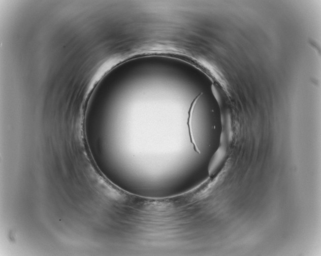 X0000099431374200805091241