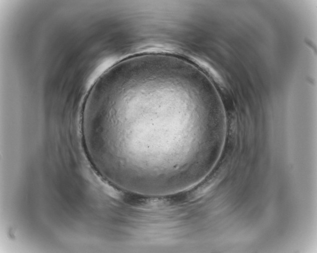 X0000099431375200805091241