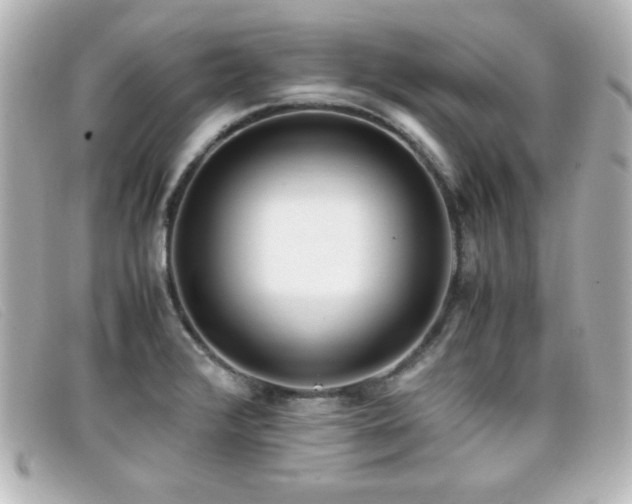 X0000099431376200805091241