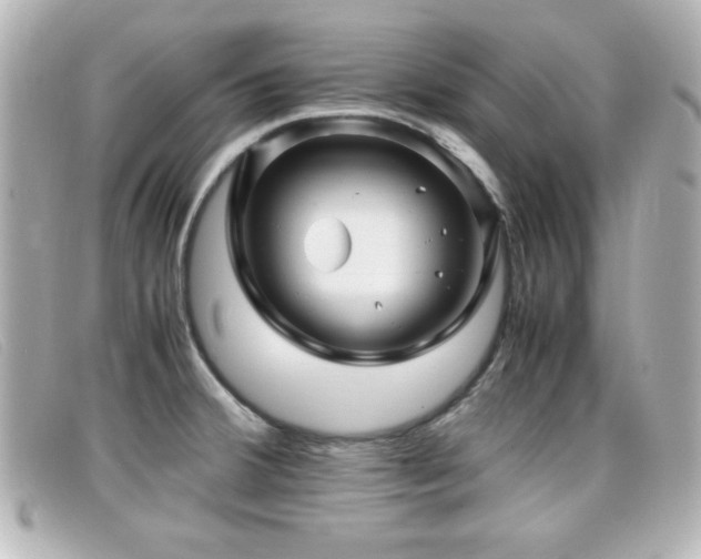 X0000099431380200805091241