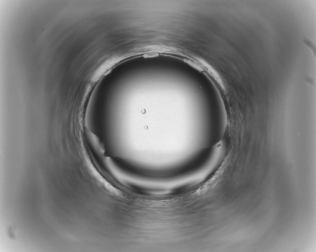 X0000099431381200805091241