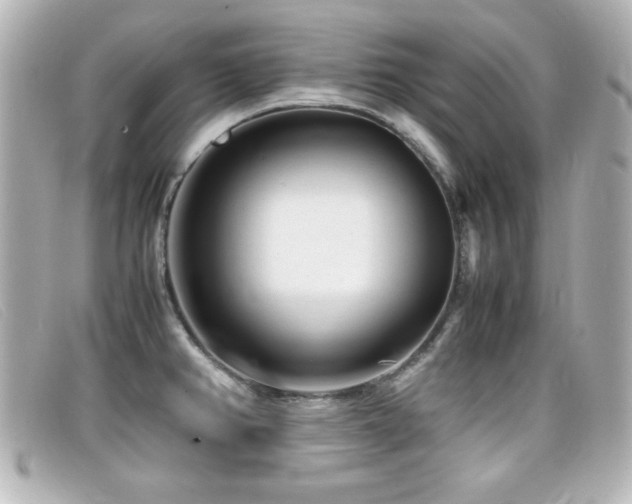X0000099431382200805091241
